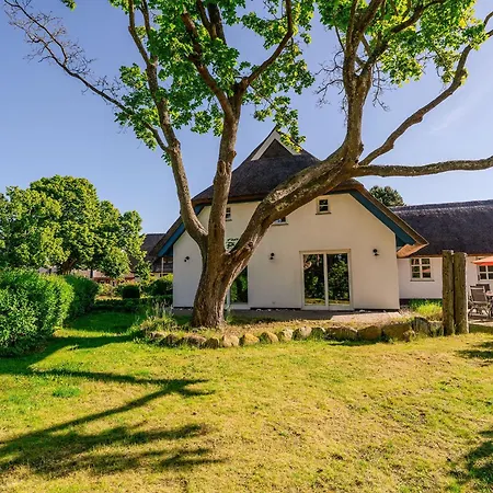 Haus Tadder Born